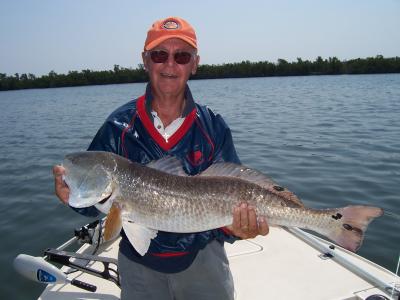 Bob caught this huge 36 inch redfish on the flats...